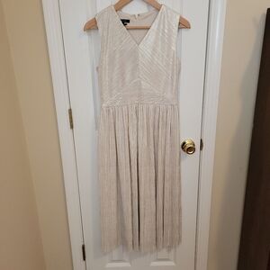 Ivy & Blu Ivory and Silver Metallic V Neck Dress Size 4